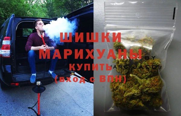 прущие грибы Белокуриха