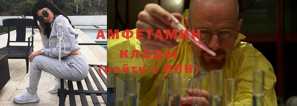 прущие грибы Белокуриха