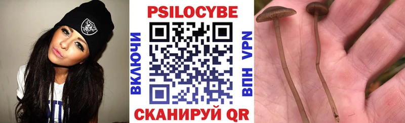 blacksprut   Нахабино  Псилоцибиновые грибы мицелий  наркотики 
